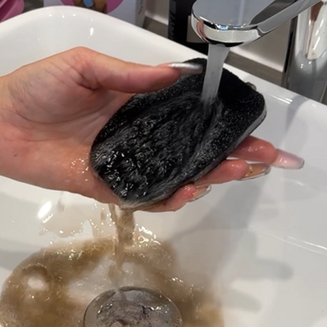 Beauty Washable Sponges